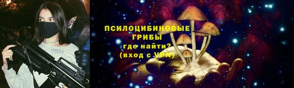 2c-b Горняк