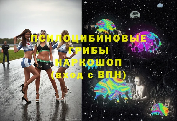 тгк Алзамай
