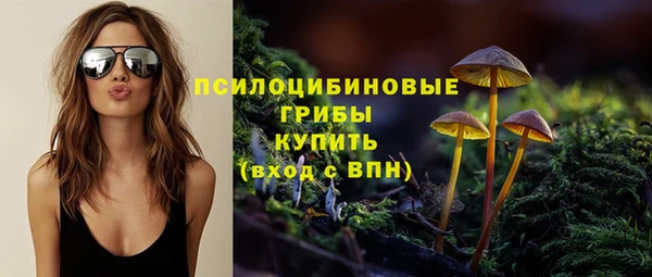 тгк Алзамай